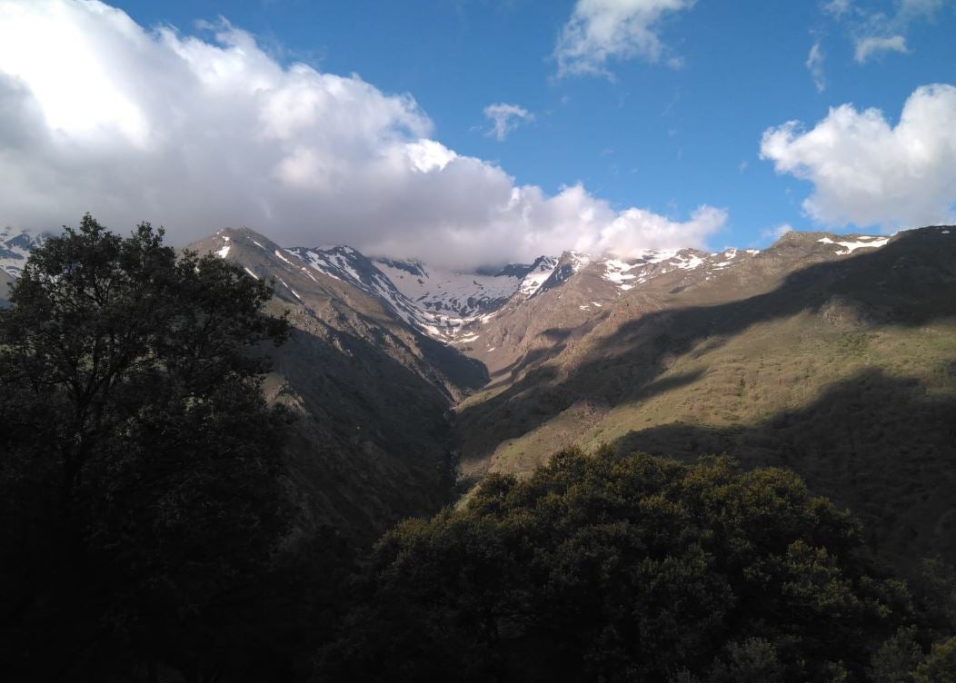 Piedra partía en Güejar Sierra