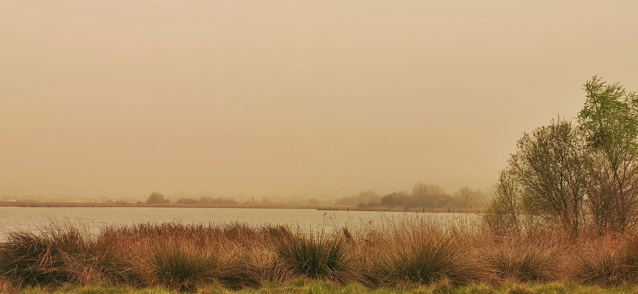 Laguna de Padul