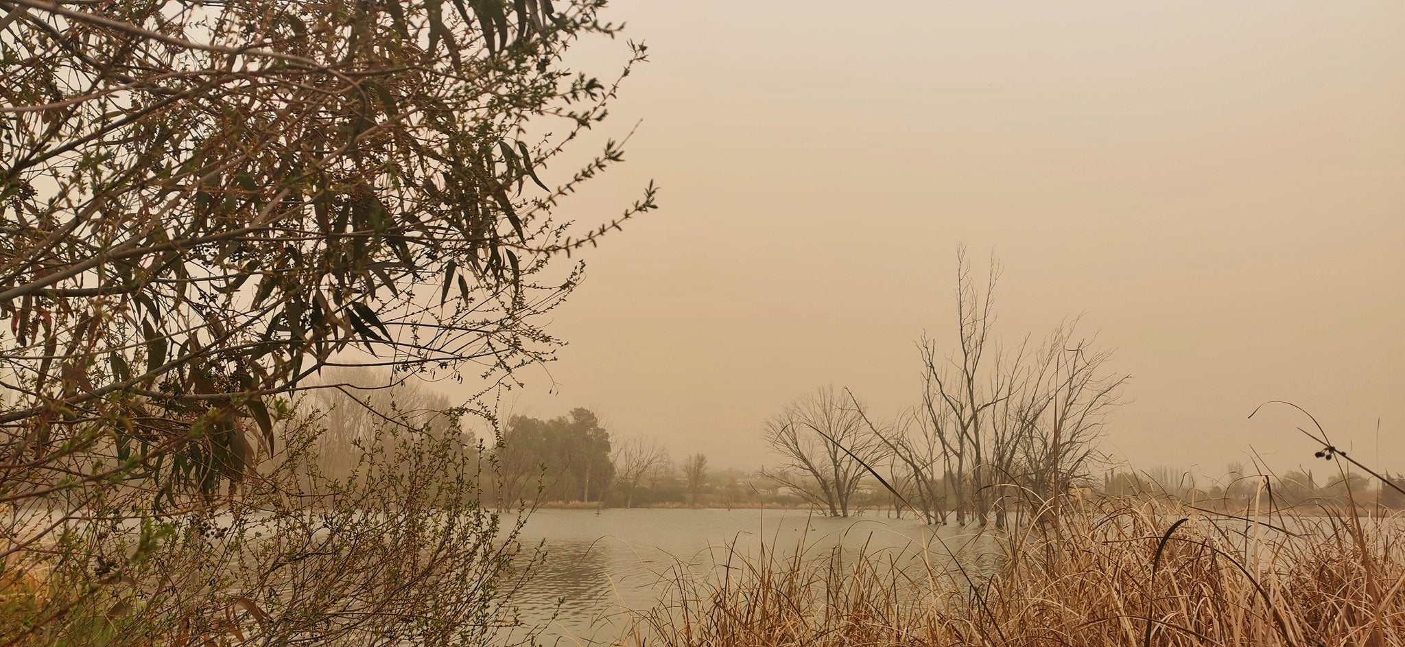 Laguna de Padul