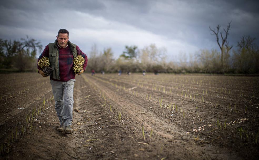 Rafael, de Granagenil.