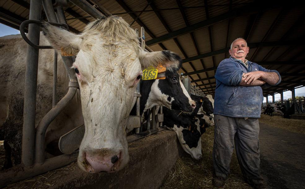 rancisco Fernández lleva más de 50 años siendo lechero en Granada.