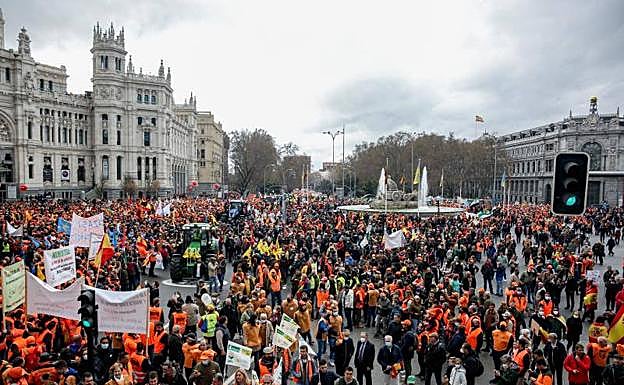 Gran manifestación 'El mundo rural despierta' en Madrid.