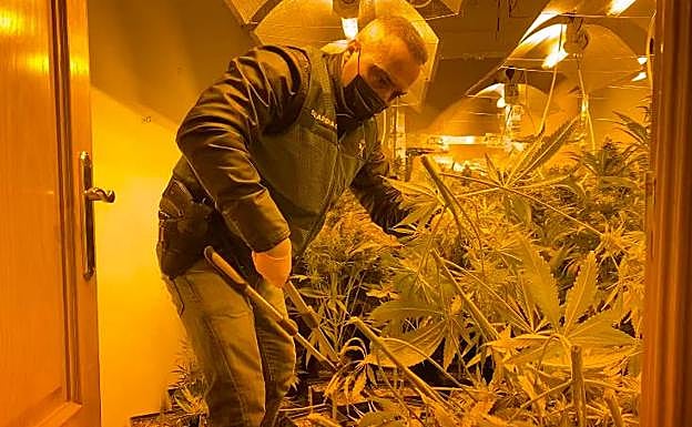Vivían hacinados en su salón con sus tres hijos pequeños porque la casa la destinaban a cultivar marihuana