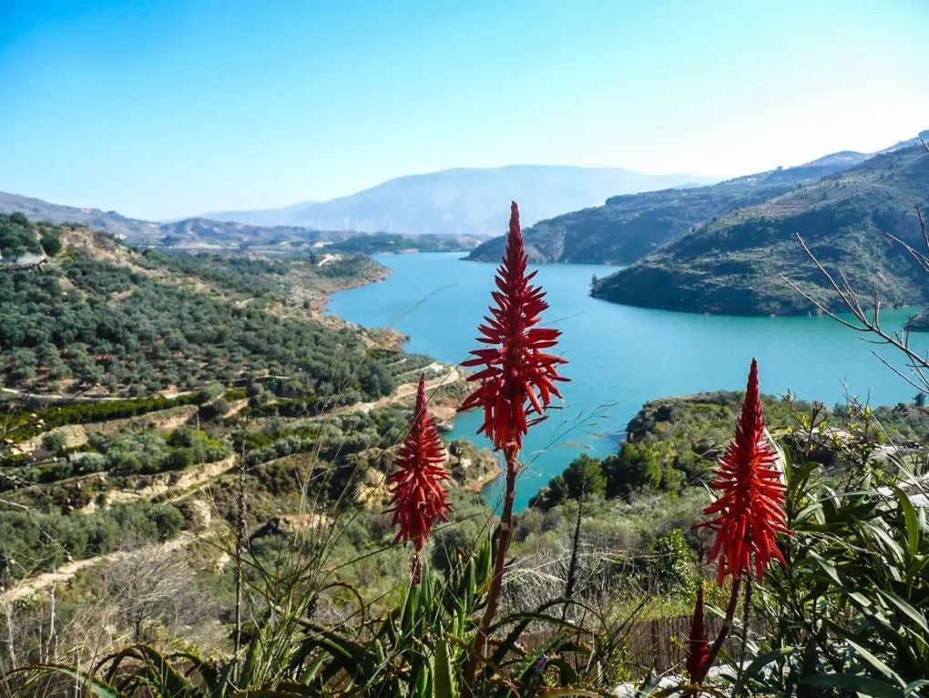 Valle de la Alegría