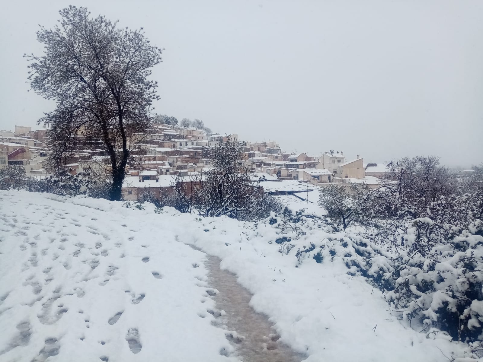 Imagen principal - Nieve en el Marquesado de Zenete