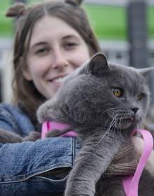 Imagen secundaria 2 - Refugiados de la Guerra. 