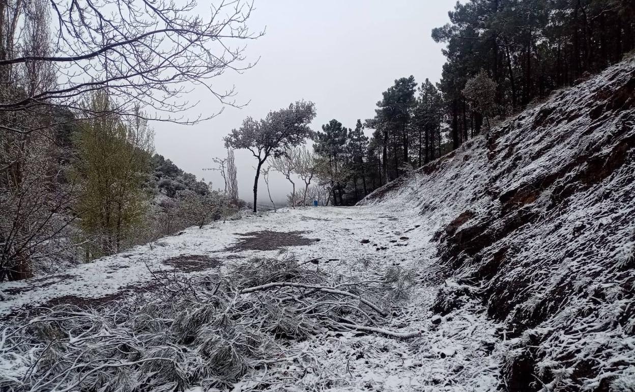 Nieve en el campo en el término municipal de Dólar . 
