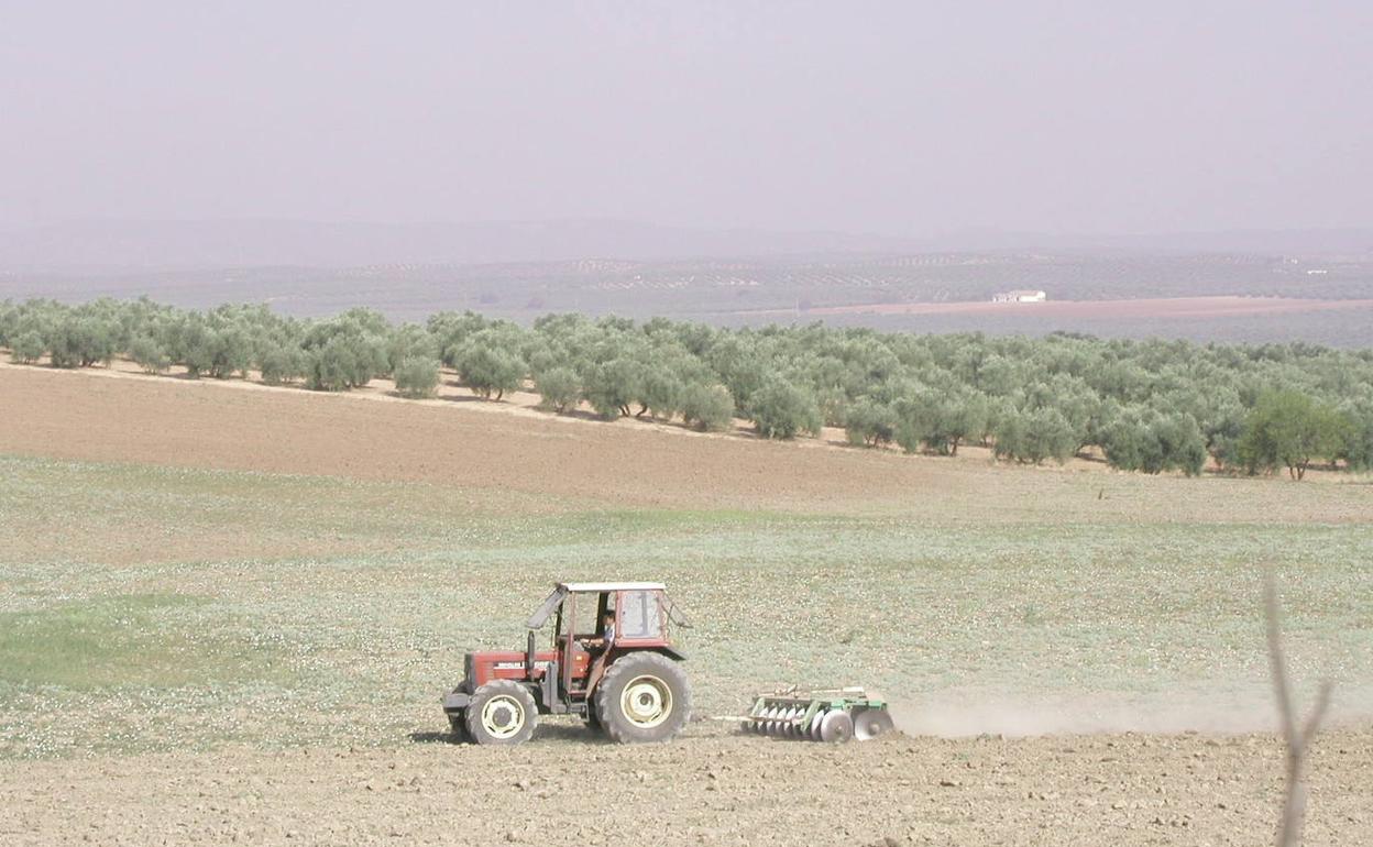 Un agricultor en un tractor, en una imagen de archivo.