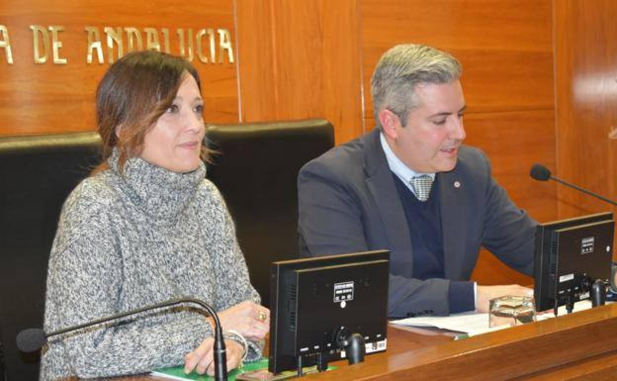 Antonio Sutil y la delegada del Gobierno andaluz, Maribel Lozano. en una comparecencia anterior. 