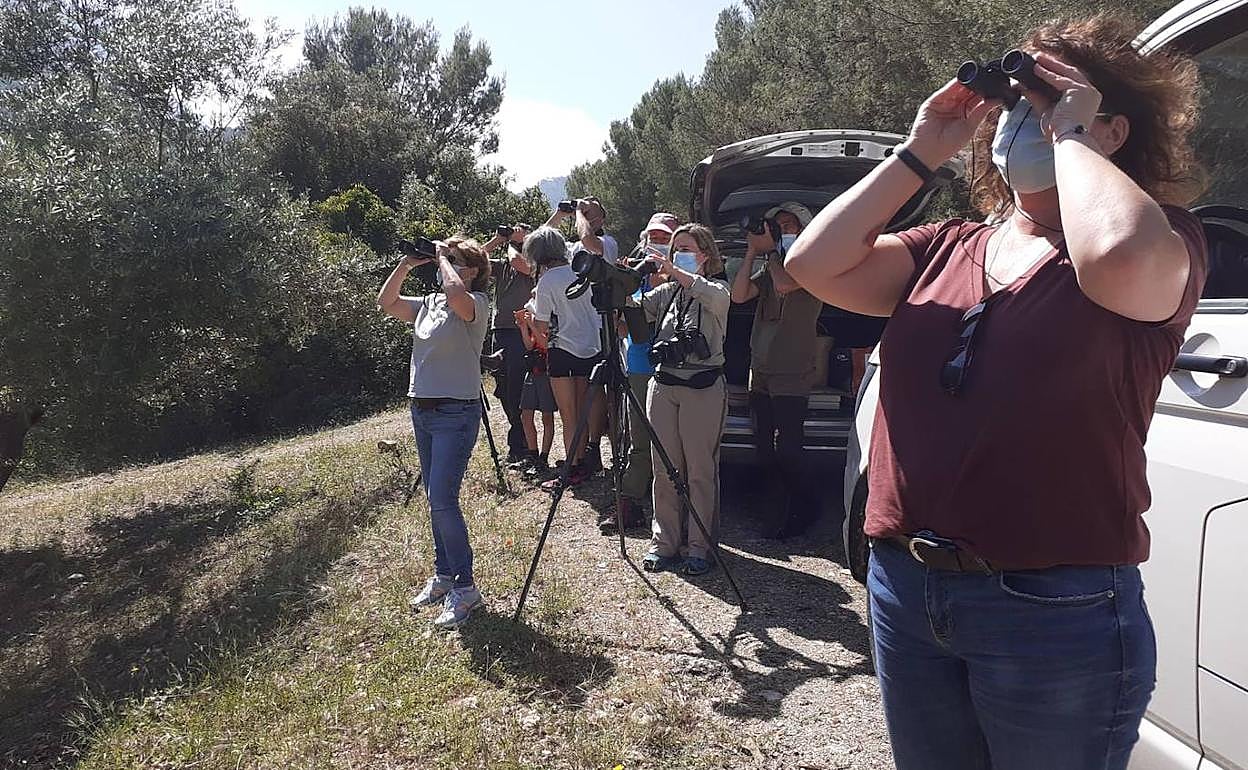Participantes observan pájaros en una ruta pasada.
