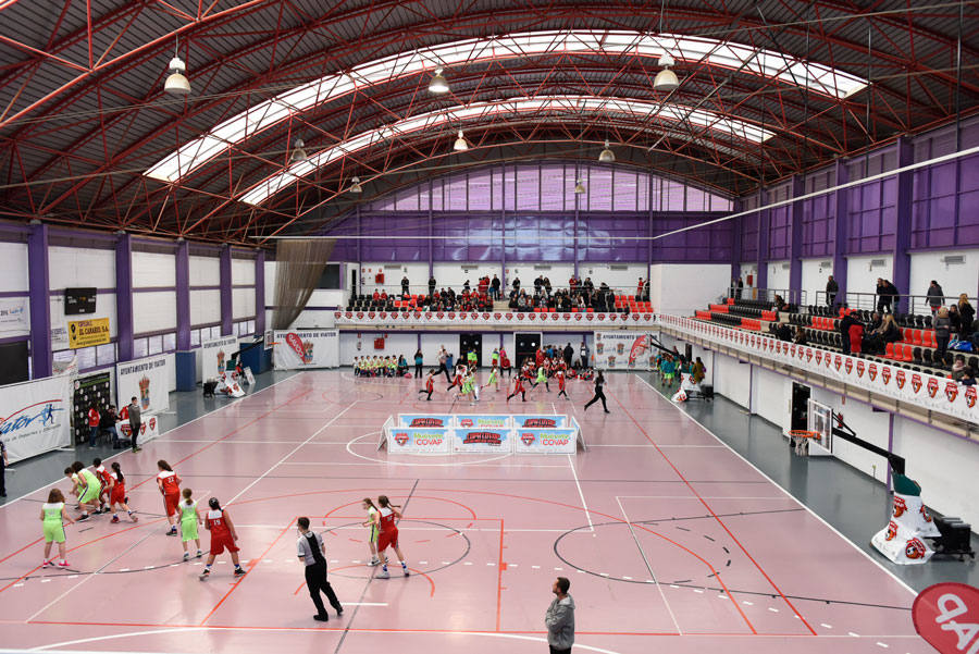 El Pabellón Municipal de Viator acoge la Copa COVAP mañana domingo. 