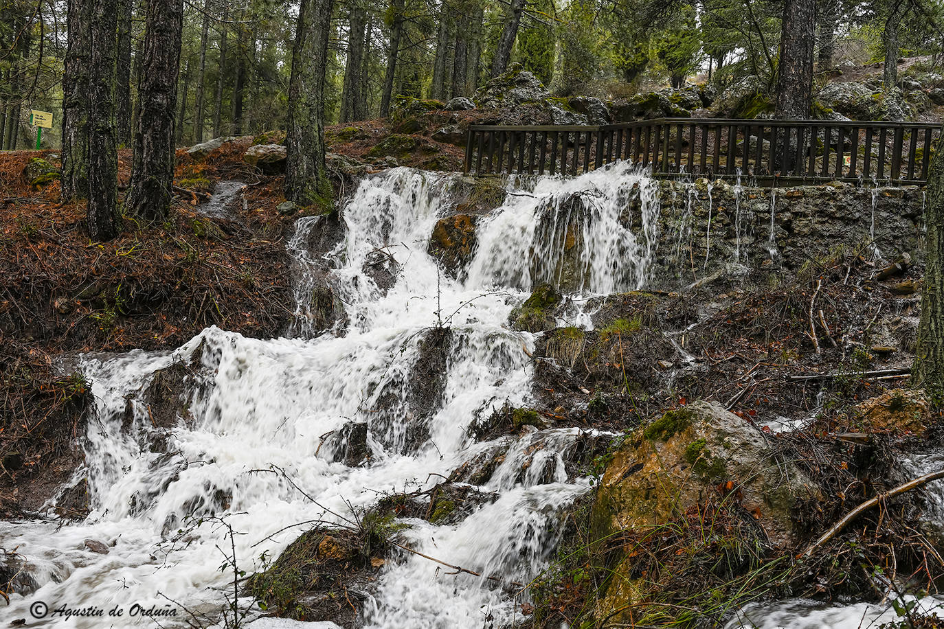 Fotos: Un tesoro de la naturaleza llamado Sierra de Baza