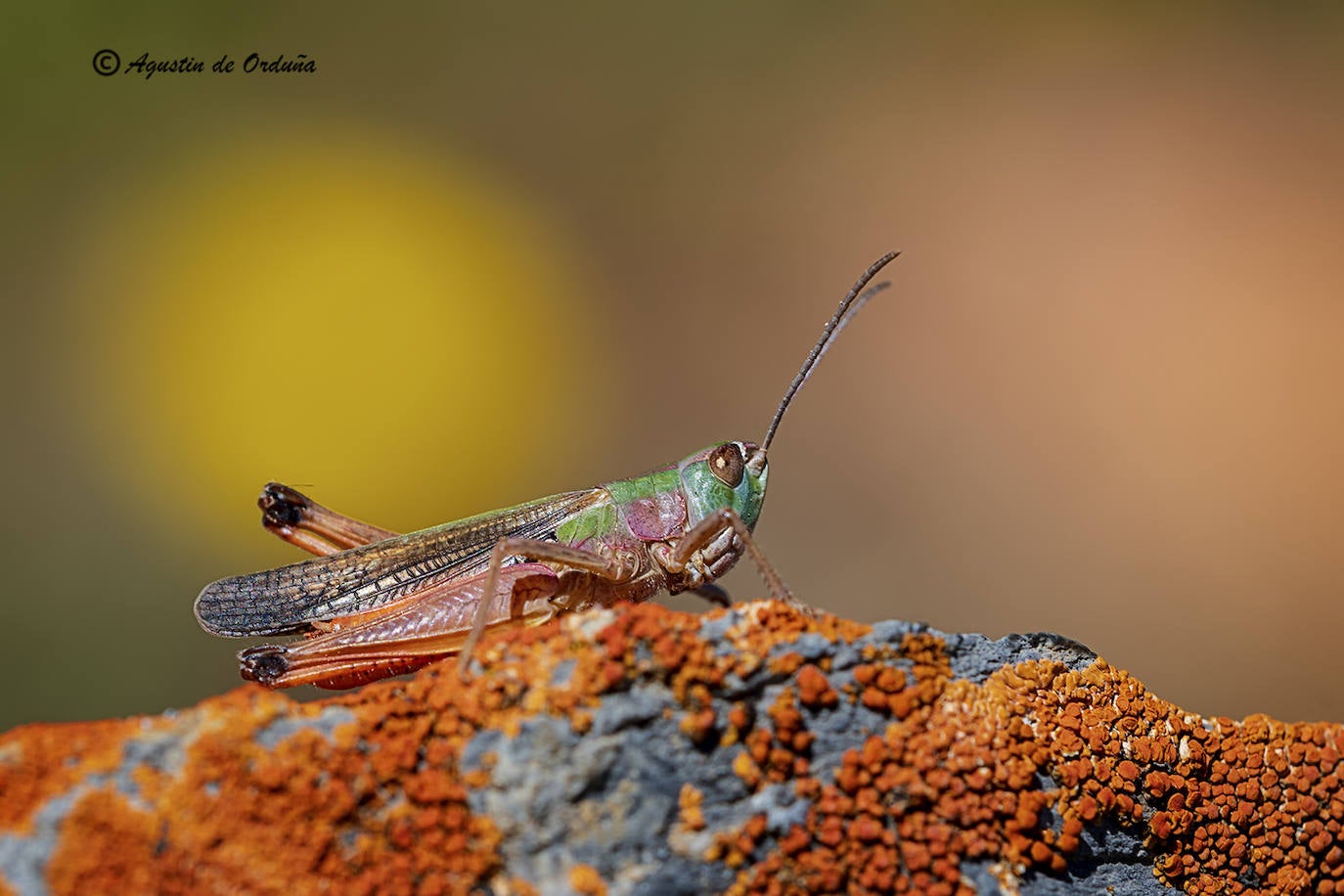 Fotos: Un tesoro de la naturaleza llamado Sierra de Baza