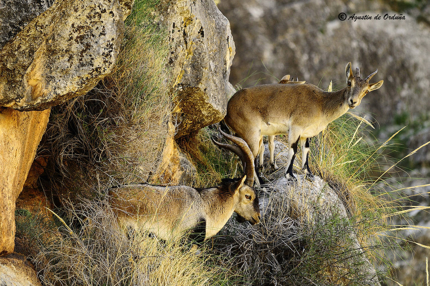 Fotos: Un tesoro de la naturaleza llamado Sierra de Baza