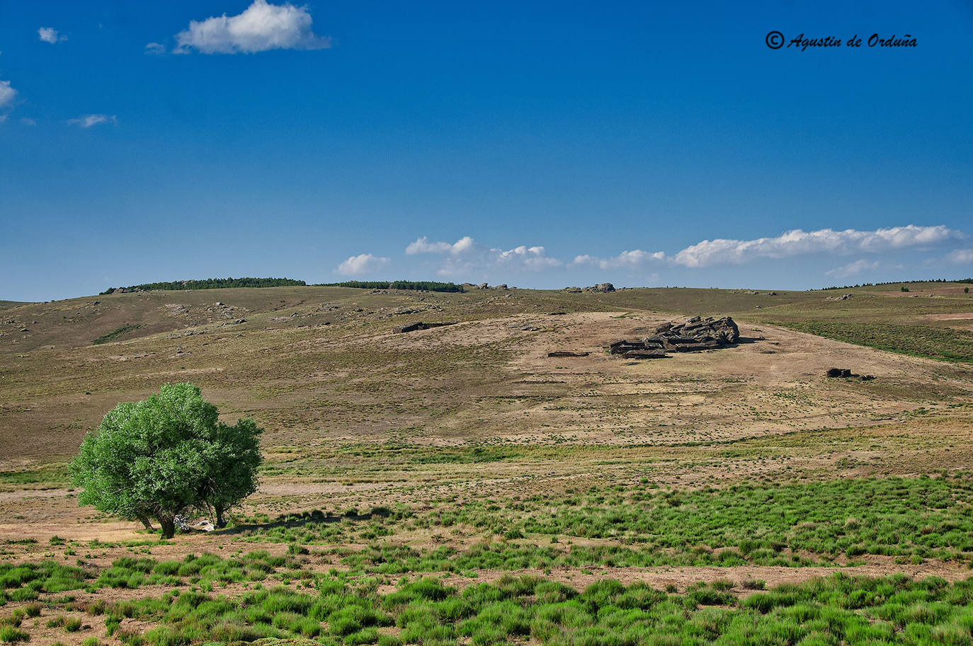 Fotos: Un tesoro de la naturaleza llamado Sierra de Baza