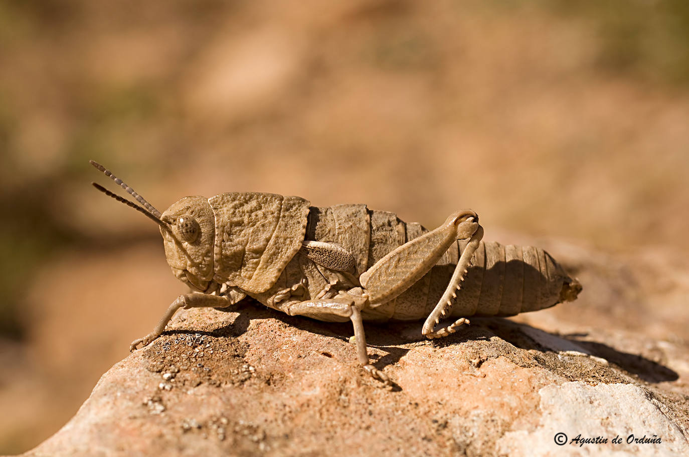 Fotos: Un tesoro de la naturaleza llamado Sierra de Baza