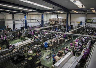 Imagen secundaria 1 - Obras en el viaducto de Riofrío y movimiento en la cooperativa San Isidro.
