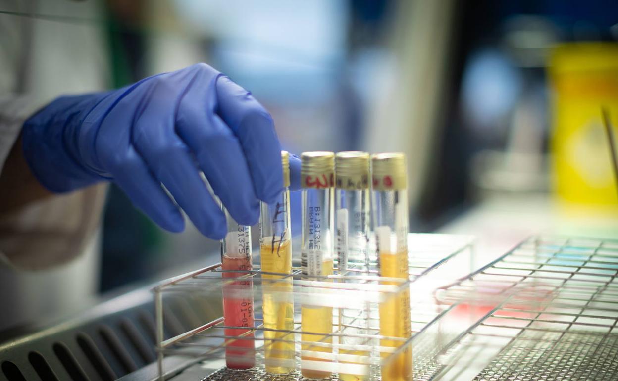 Laboratorio de Microbiología.