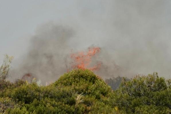 El fuego se ha originado en una zona cercana a viviendas y la Abadía del Sacromonte