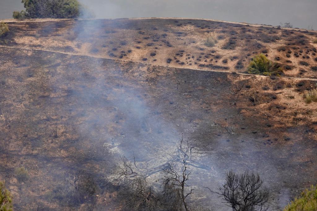 El fuego se ha originado en una zona cercana a viviendas y la Abadía del Sacromonte