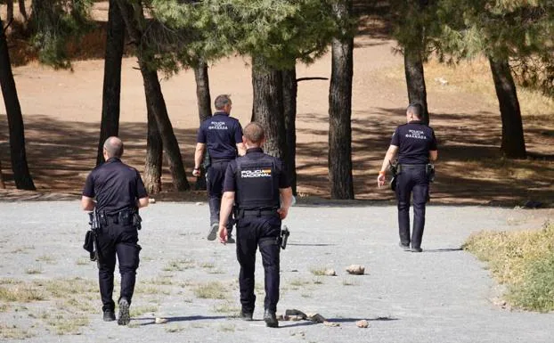 Todo apunta a la barbacoa como origen del incendio de San Miguel