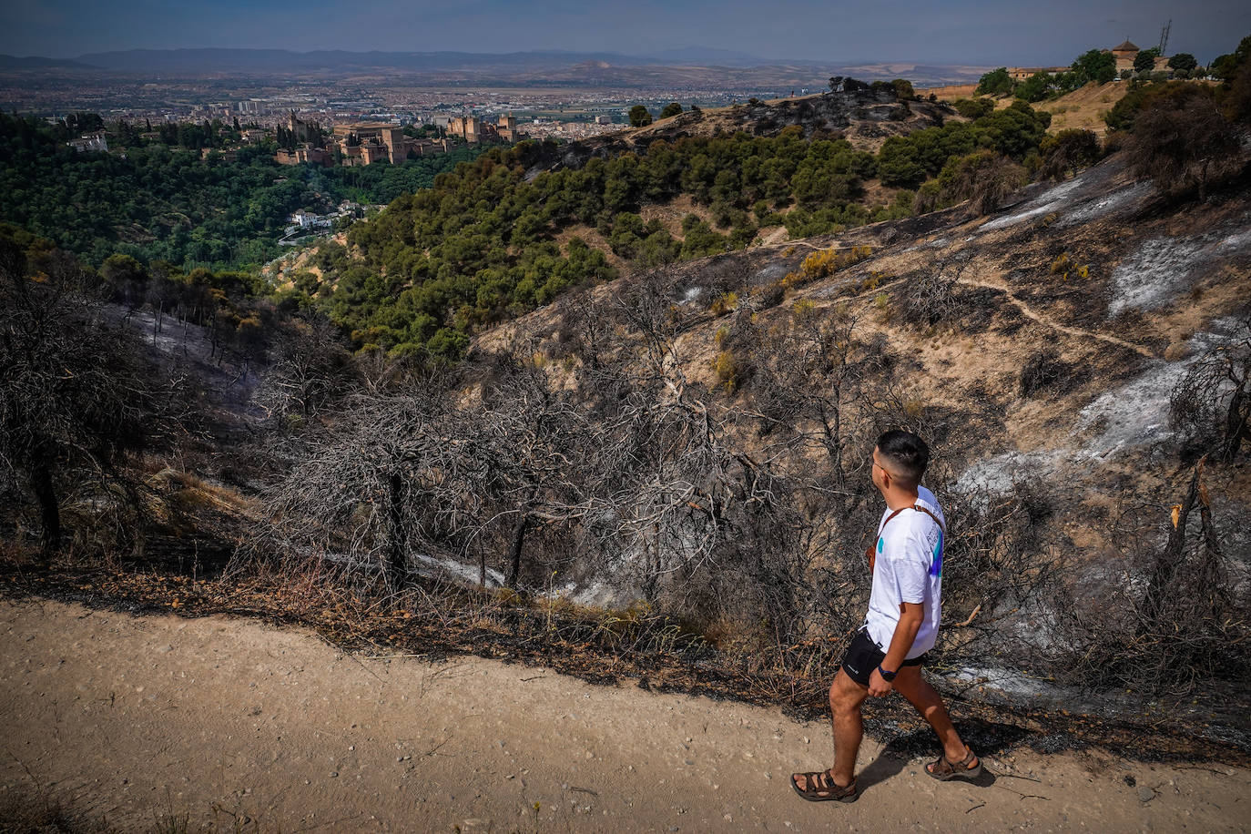 Visitamos el entorno afectado por el fuego declarado el pasado domingo por la tarde