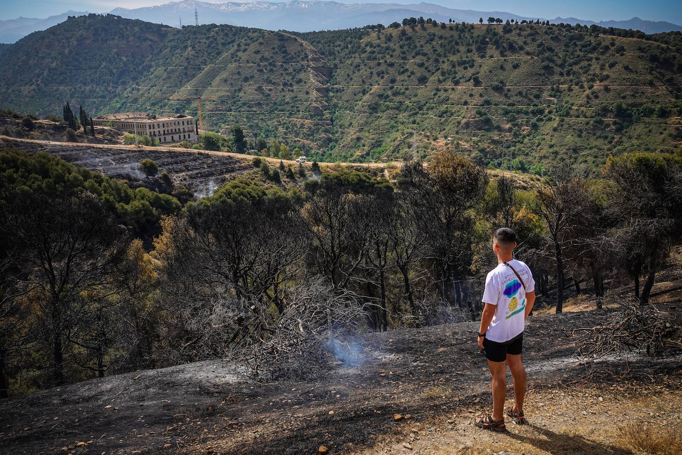 Visitamos el entorno afectado por el fuego declarado el pasado domingo por la tarde