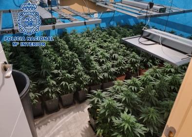 Imagen secundaria 1 - Triple operación antidroga en el Zaidín y Jun con cinco detenidos