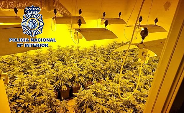 Imagen principal - Triple operación antidroga en el Zaidín y Jun con cinco detenidos