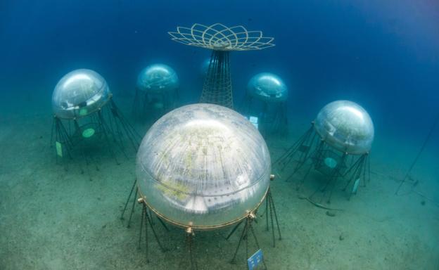 Imagen principal - Nemo&#039;s Garden, el primer huerto submarino de plantas terrestres