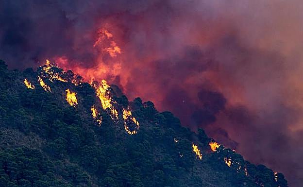 Autorizan la vuelta de los vecinos desalojados de Benahavís por el incendio de Pujerra