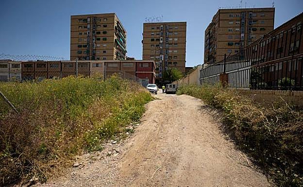 Una calle sin alquitranar y llena de maleza. 