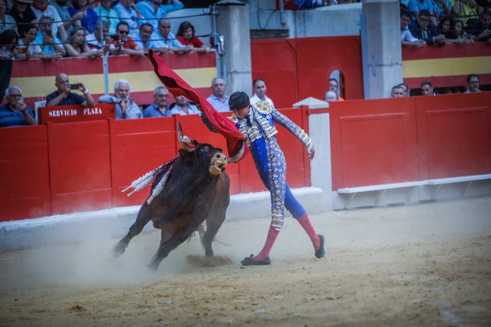 La afición taurina disfrutó de una tarde triunfal.