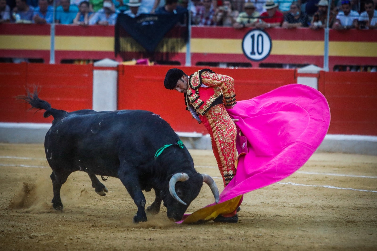 La afición taurina disfrutó de una tarde triunfal.