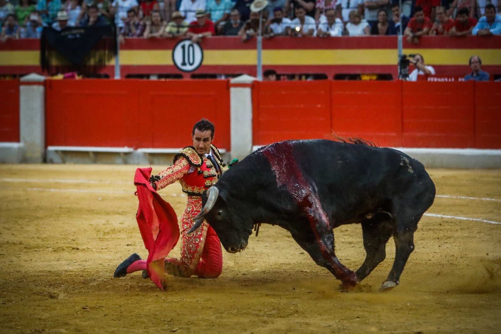 La afición taurina disfrutó de una tarde triunfal.