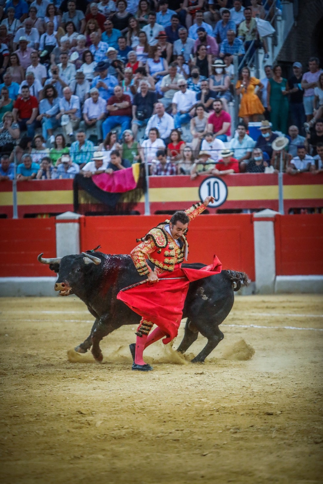 La afición taurina disfrutó de una tarde triunfal.