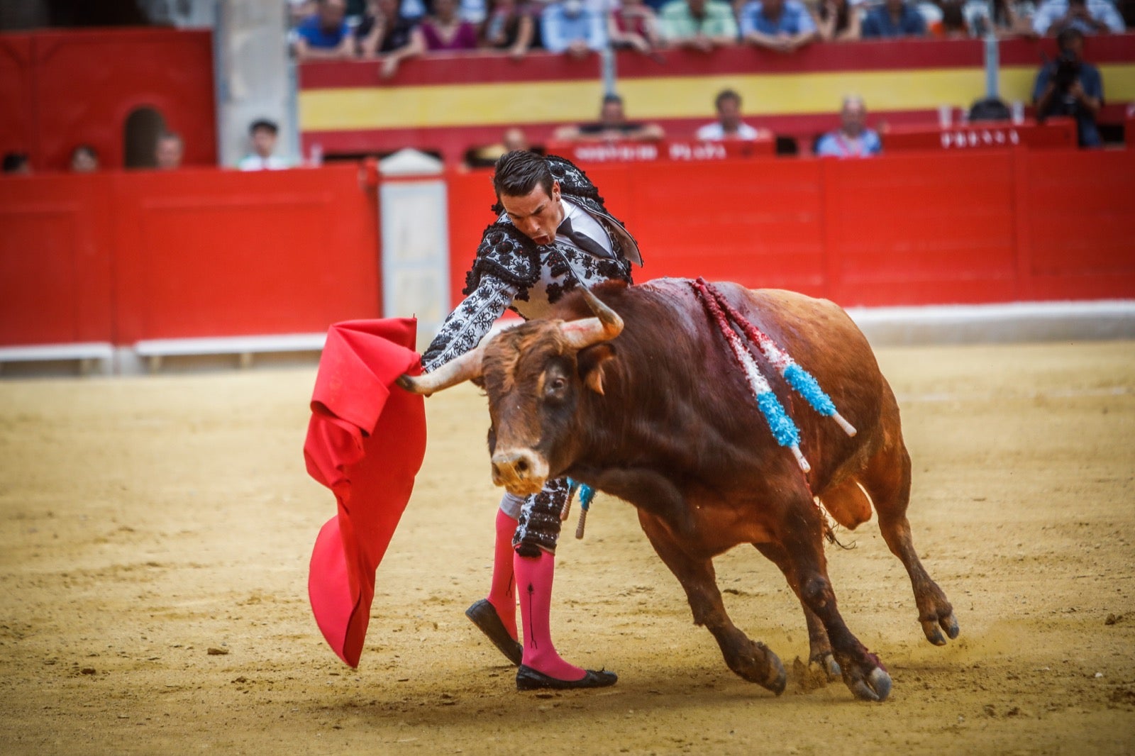 La afición taurina disfrutó de una tarde triunfal.