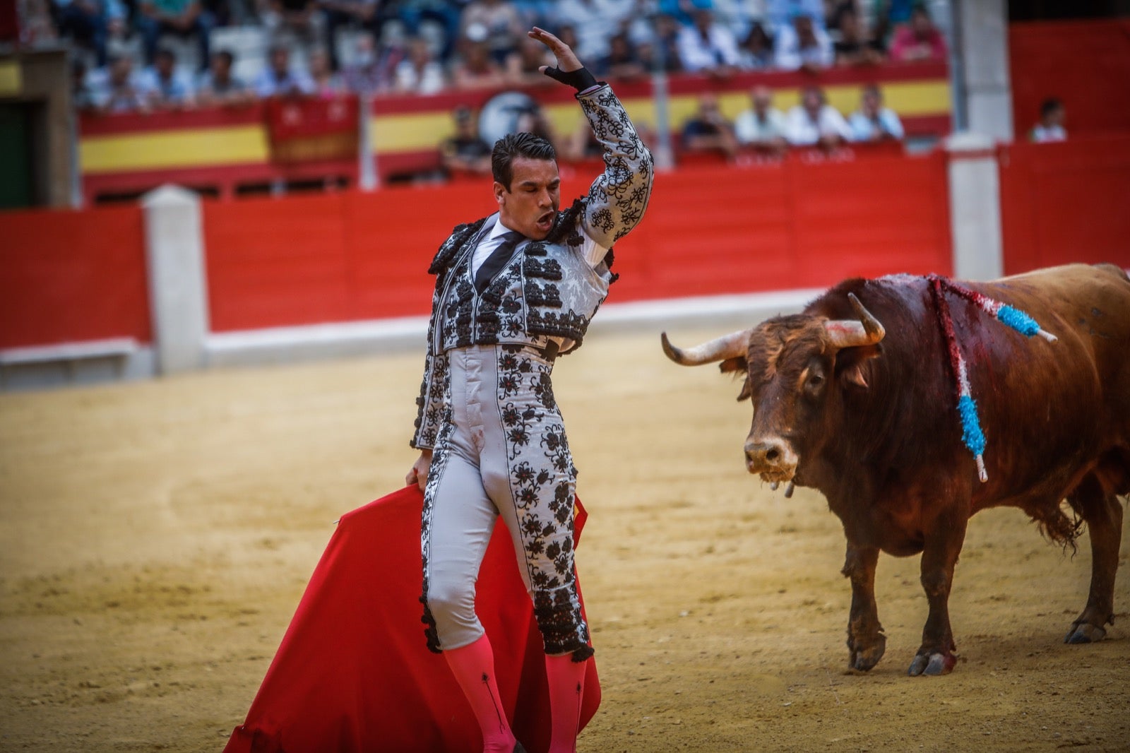 La afición taurina disfrutó de una tarde triunfal.