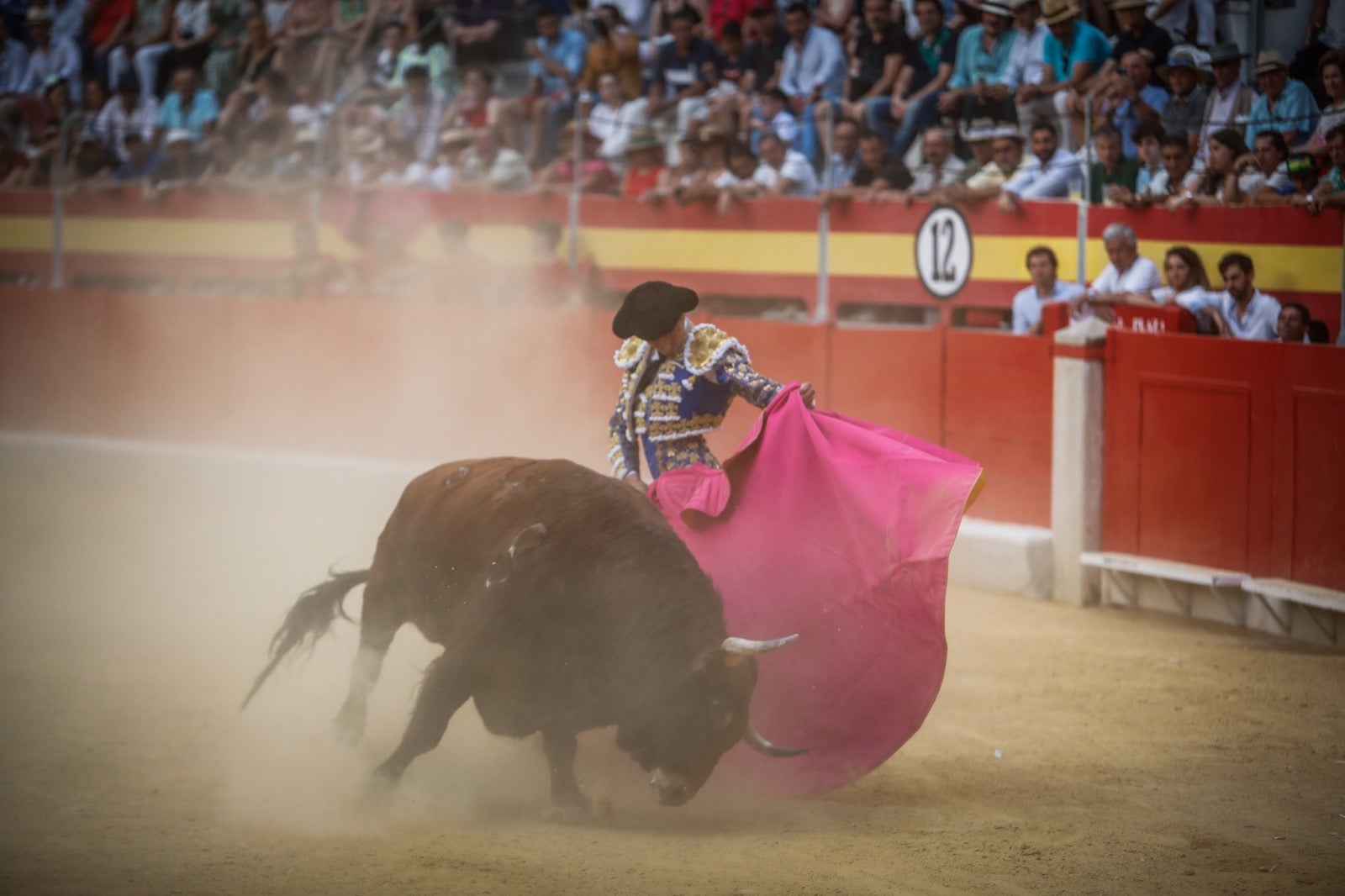 La afición taurina disfrutó de una tarde triunfal.