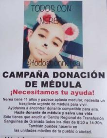 Imagen secundaria 2 - En las dos primeras imágenes, Nerea durante su ingreso. En la tercera, uno de los folletos de la campaña para promover la donación de médula.