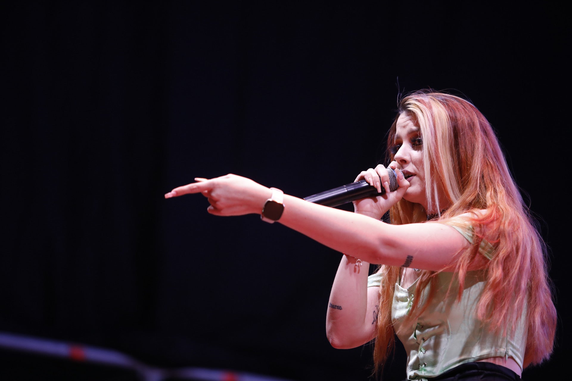 Imagen secundaria 2 - Colas antes de que se abriesen las puertas y algunos momentos del concierto. 