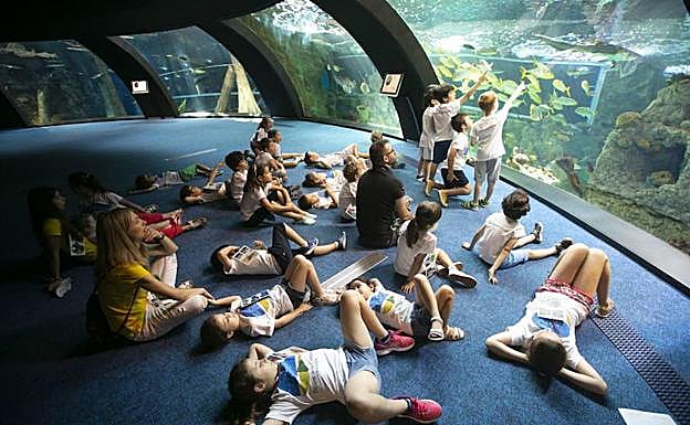Niños del campamento de verano del Parque de las Ciencias.