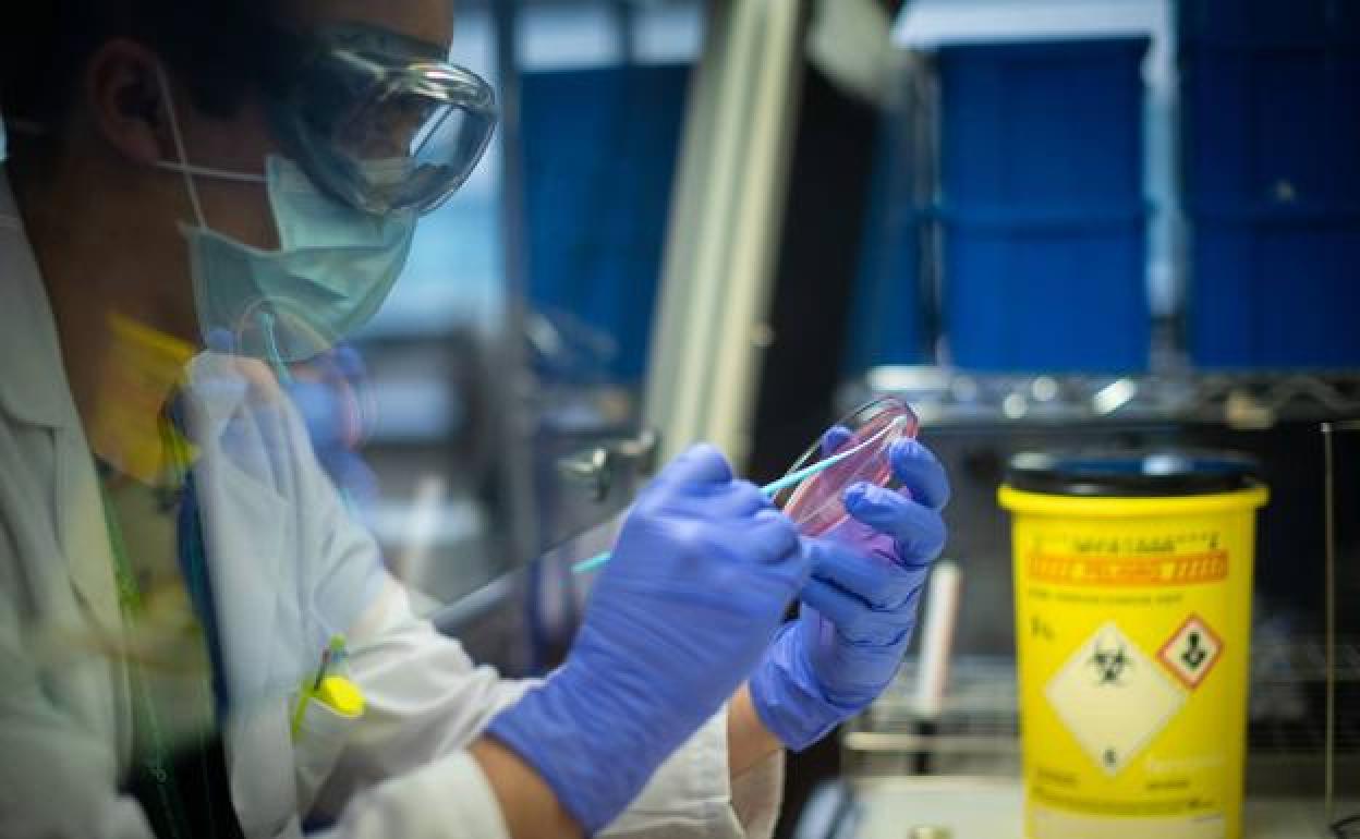 Laboratorio de Microbiología del Hospital del PTS.