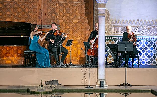 Un gato alhambreño se paseó por el escenario y todo el patio en la primera parte.