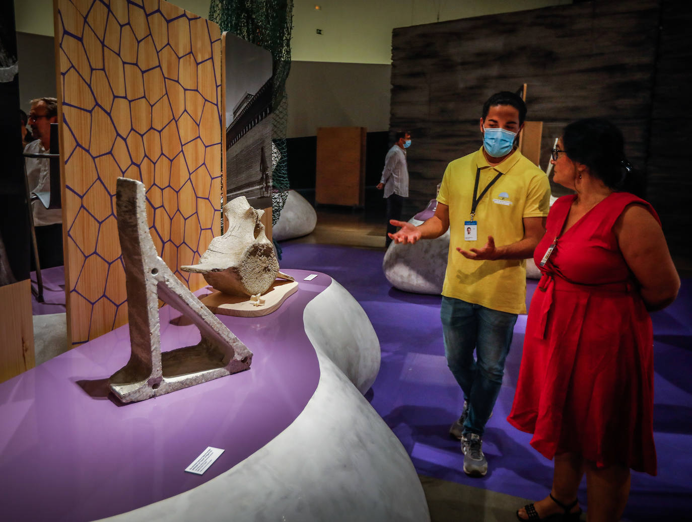 Una espectacular exposición muestra cómo la ciencia, la ingeniería o la arquitectura copian la naturaleza para lograr avances para el ser humano