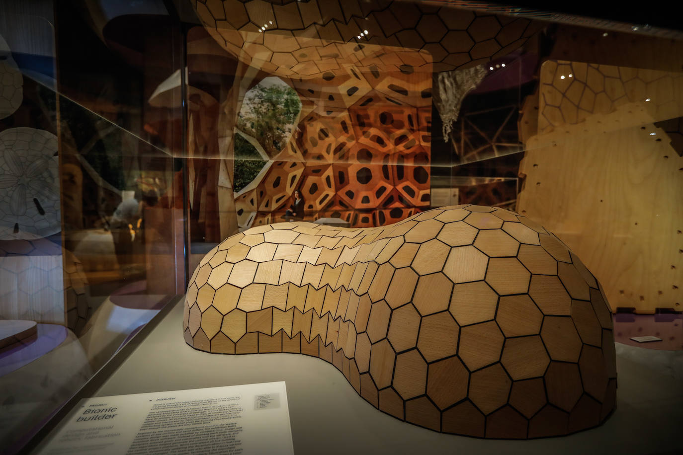 Una espectacular exposición muestra cómo la ciencia, la ingeniería o la arquitectura copian la naturaleza para lograr avances para el ser humano