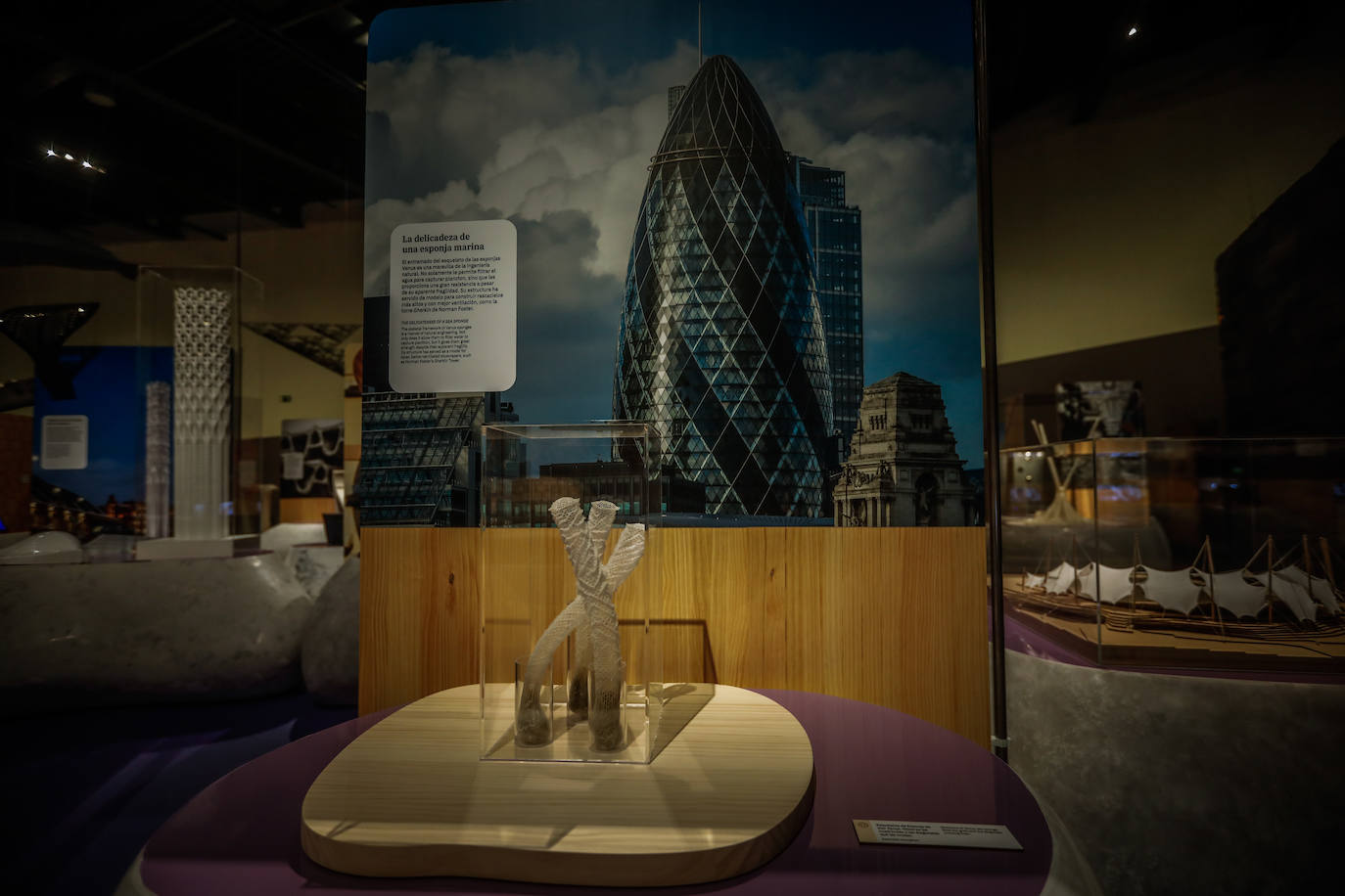 Una espectacular exposición muestra cómo la ciencia, la ingeniería o la arquitectura copian la naturaleza para lograr avances para el ser humano