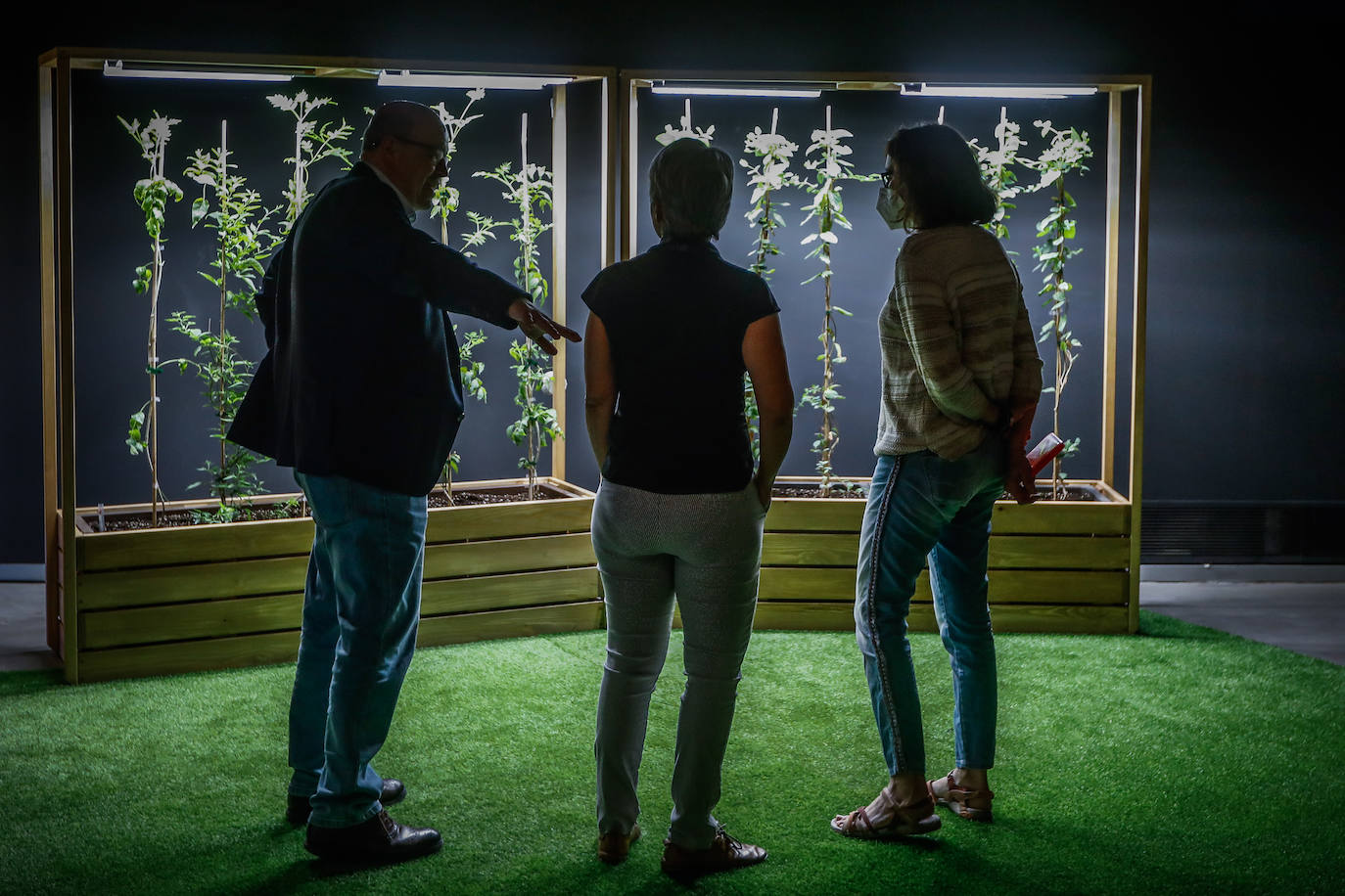 Una espectacular exposición muestra cómo la ciencia, la ingeniería o la arquitectura copian la naturaleza para lograr avances para el ser humano