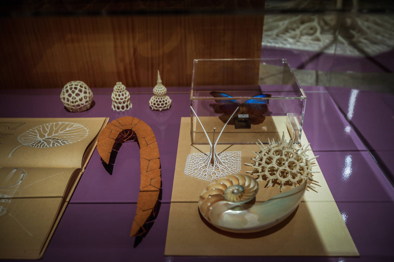 Una espectacular exposición muestra cómo la ciencia, la ingeniería o la arquitectura copian la naturaleza para lograr avances para el ser humano