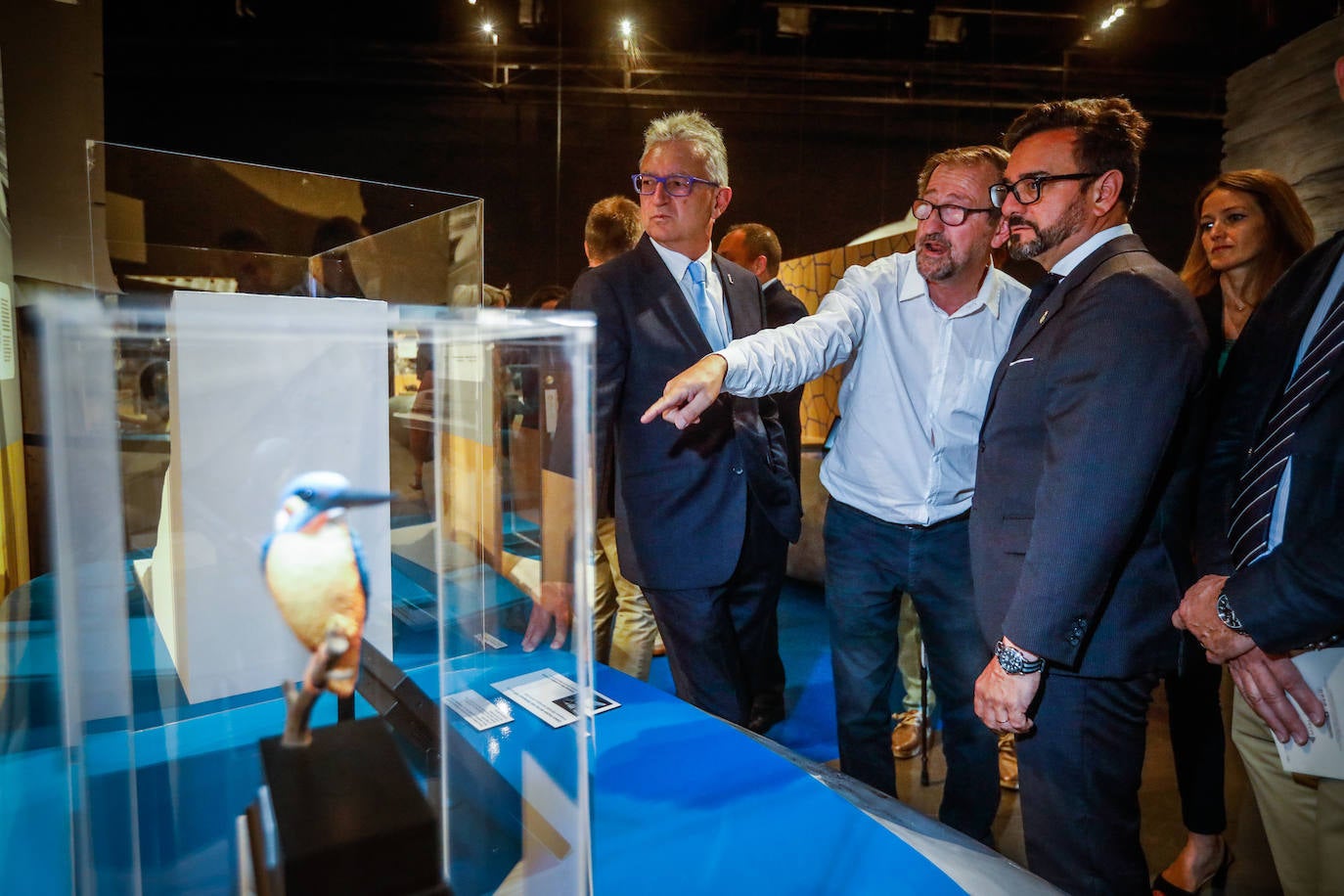 Una espectacular exposición muestra cómo la ciencia, la ingeniería o la arquitectura copian la naturaleza para lograr avances para el ser humano